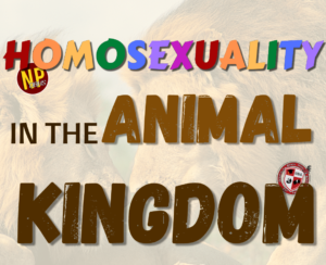 Homosexuality in the Animal Kingdom | Deerfield Beach High School